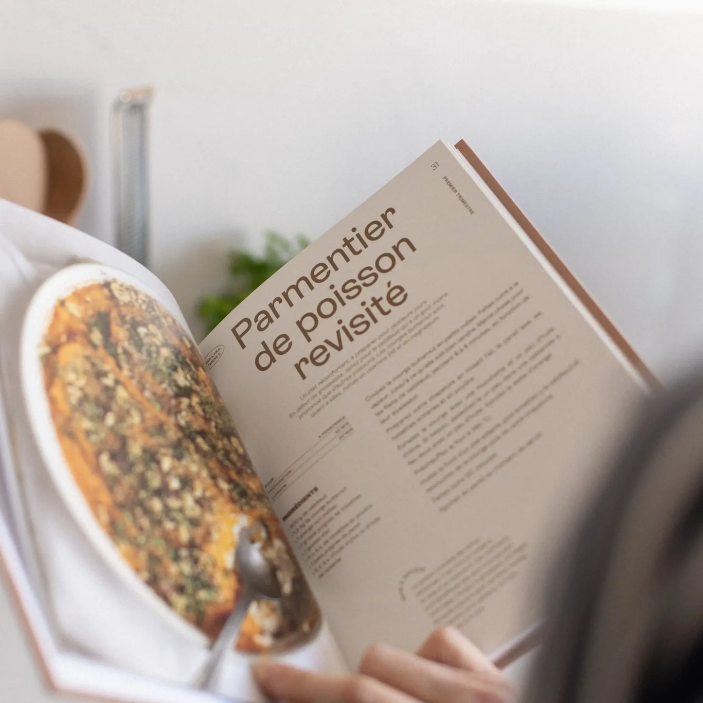 Le livre gourmand de la grossesse – 40 recettes & conseils bien-être